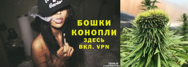 спиды Новодвинск