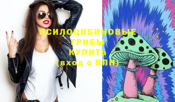 спиды Новодвинск
