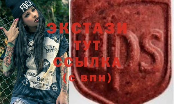 спиды Новодвинск