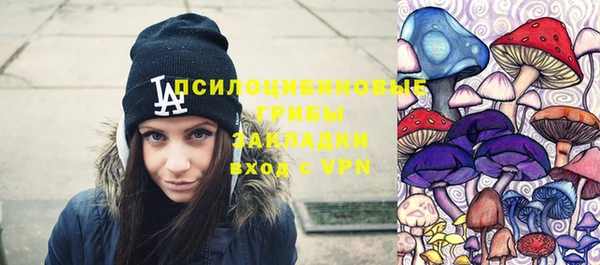 спиды Новодвинск