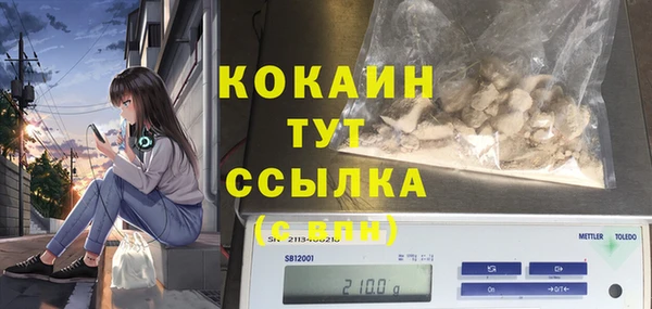 MDMA Новозыбков