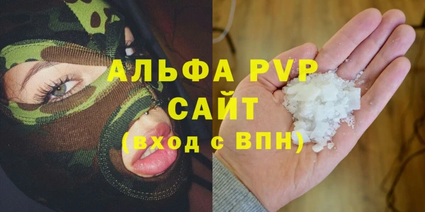 спиды Новодвинск