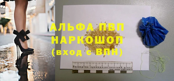 спиды Новодвинск